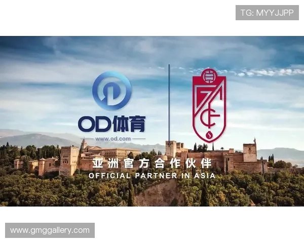 od体育官方网站最新版本下载安装指南，全面解析平台功能与使用技巧