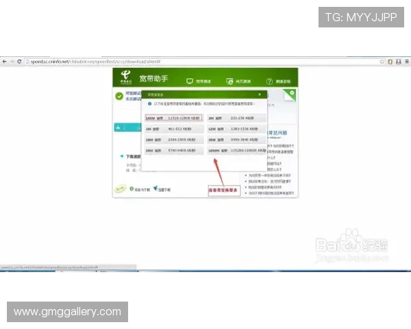 飞驰备用网址介绍：让玩家轻松上手的关键要素